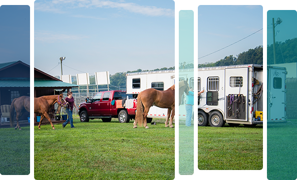 Other Vehicles Mobile Other Vehicles Mobile