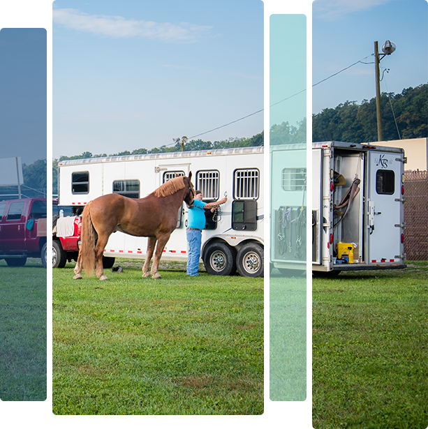Other Vehicles Desktop Other Vehicles Desktop