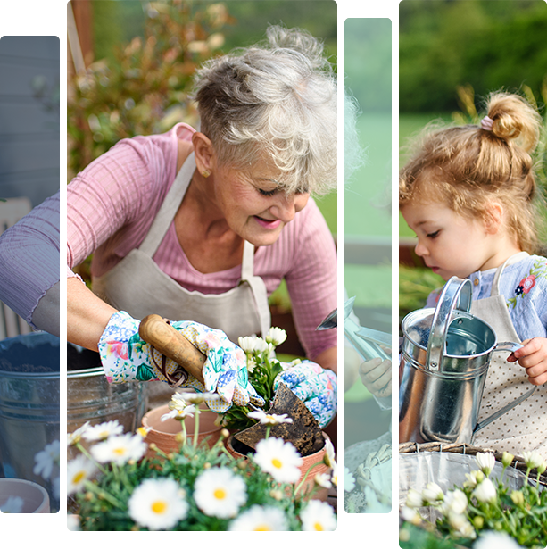 IRA & ESA Desktop IRA & ESA Desktop