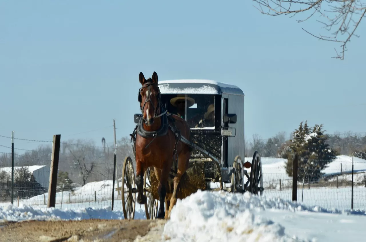horse drawn carriage in winter