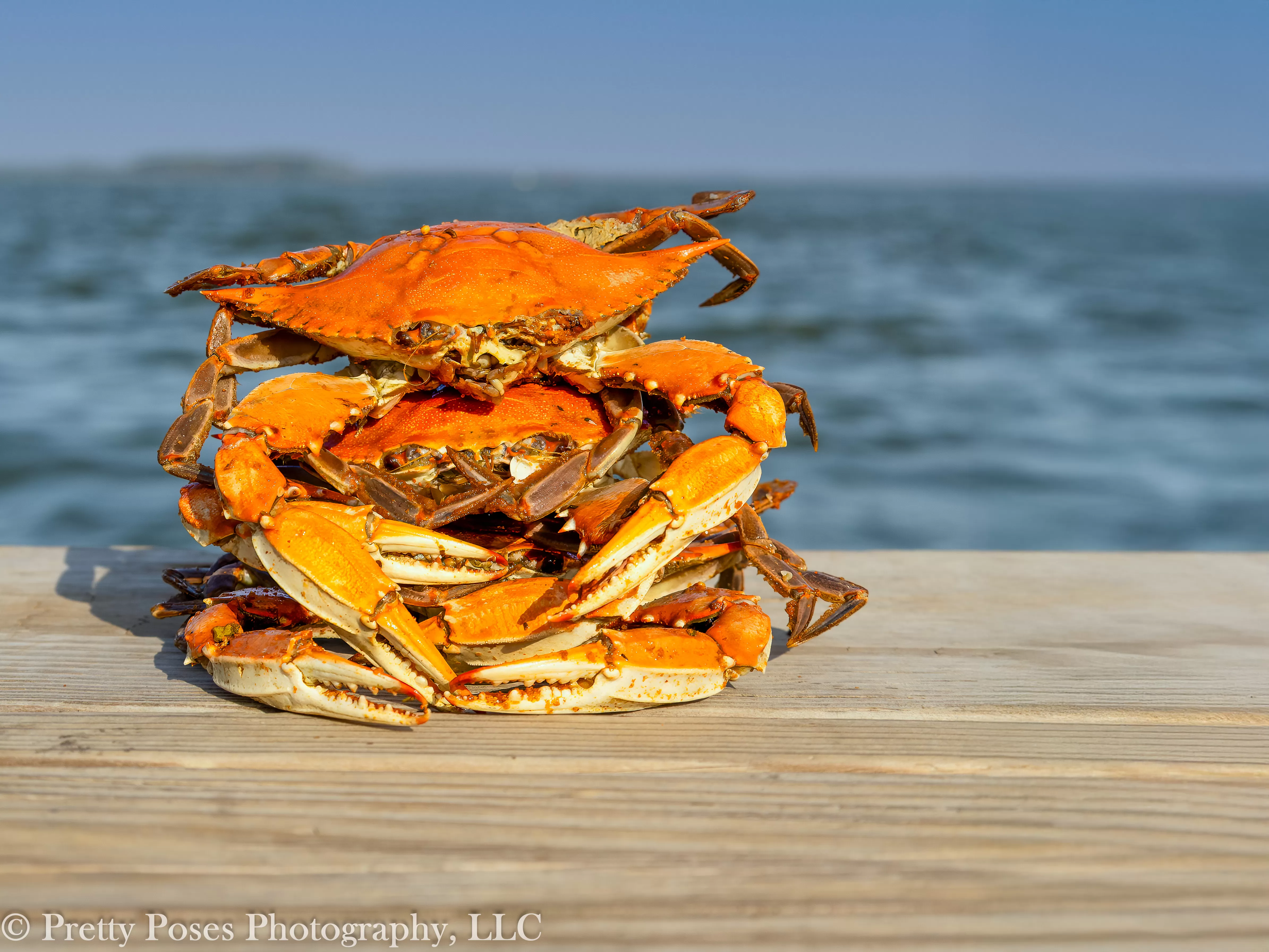 Stack of cooked bule crabs on dock