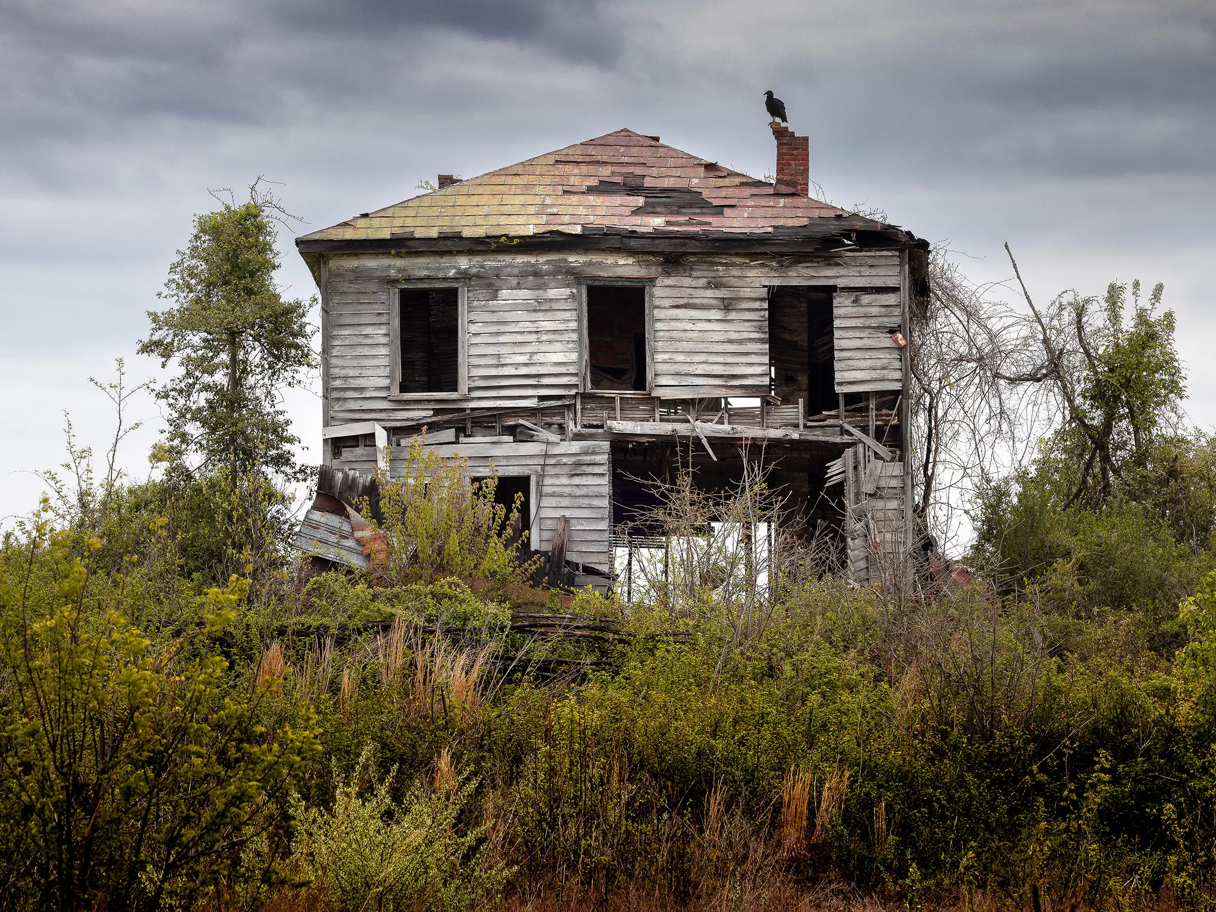Abandoned house in tall grass